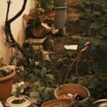 Tips for Creating a Relaxing Home Garden Space