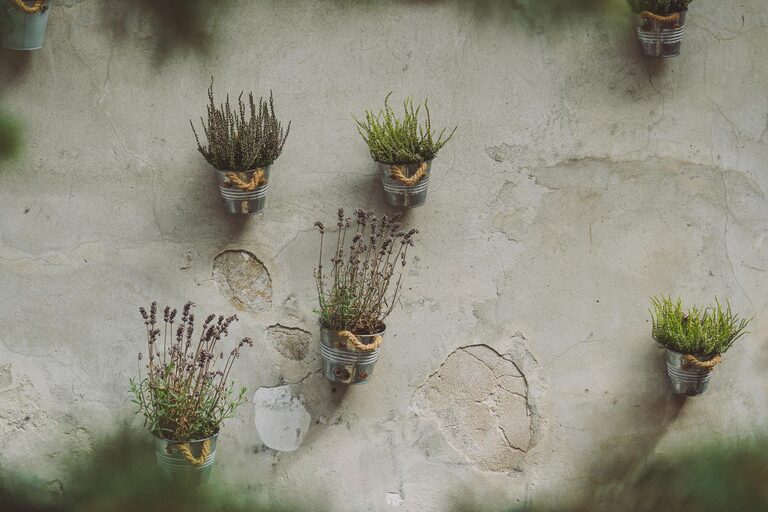 Tips for Creating a Sustainable Garden in Small Urban Spaces